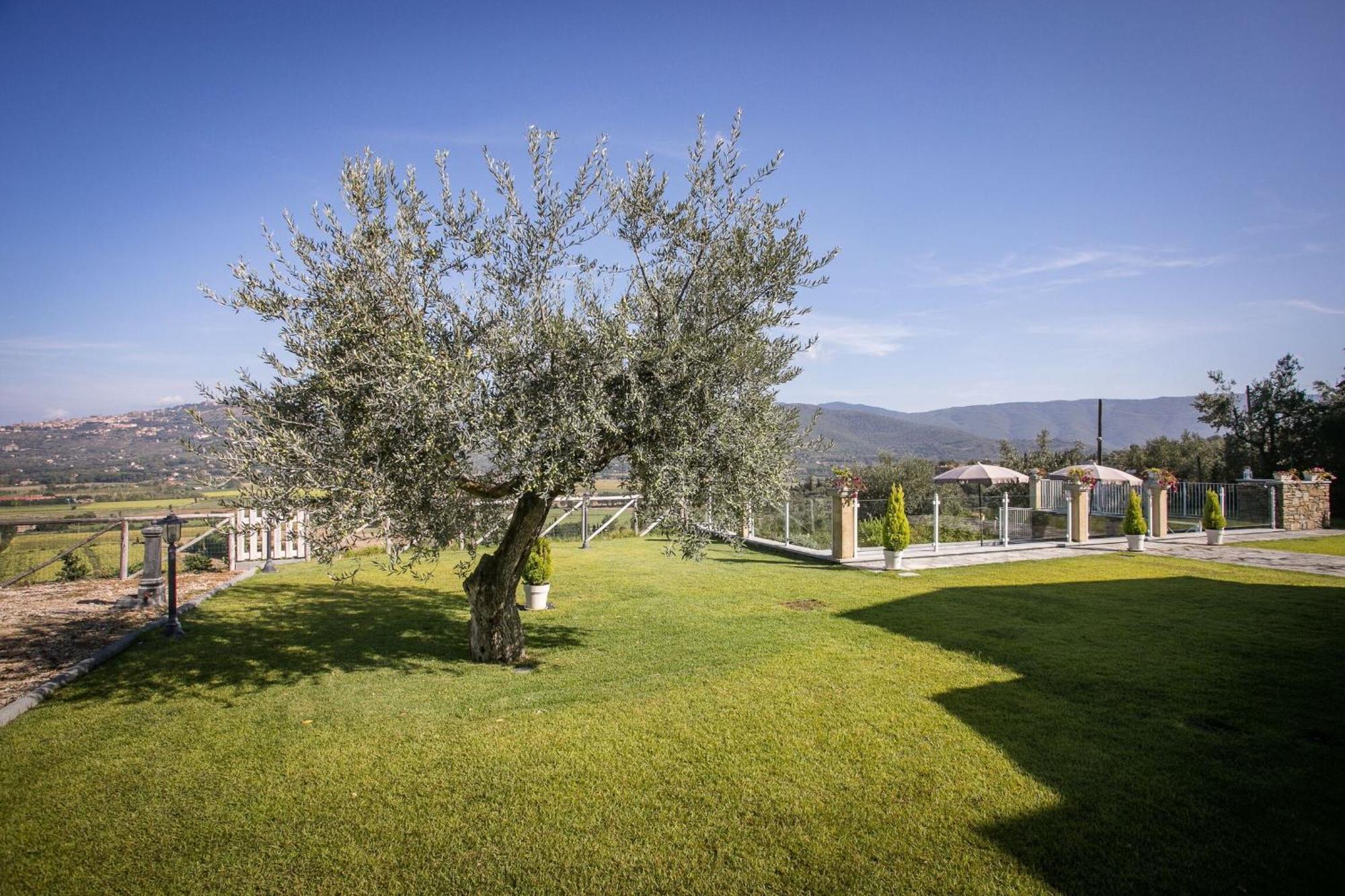 Villa Chiara Cortona Buitenkant foto